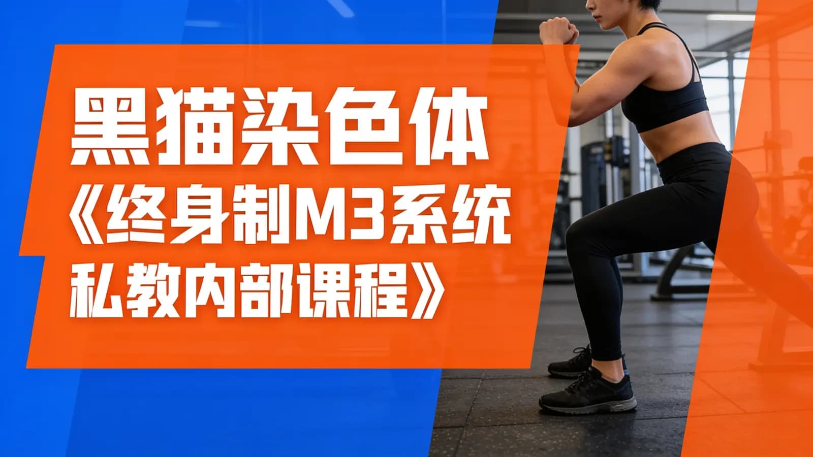 黑猫染色体《终身制M3系统私教内部课程》