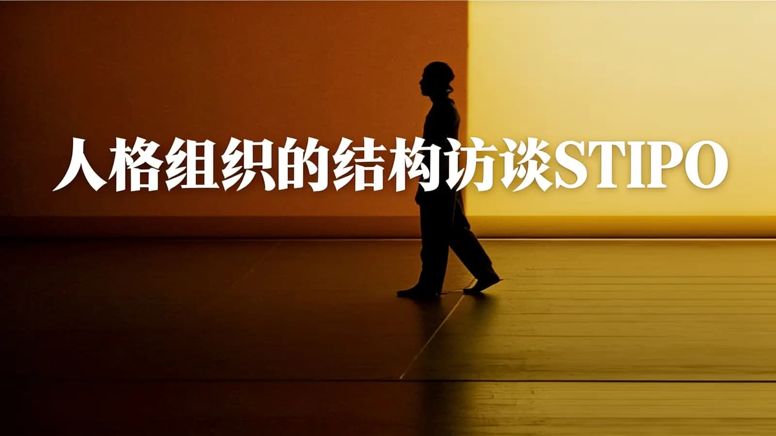 人格组织的结构访谈STIPO