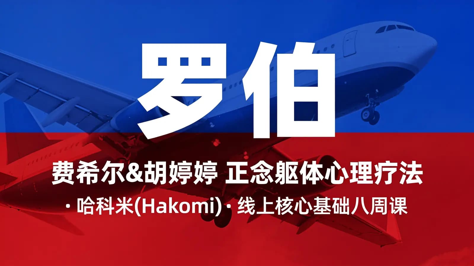 网络整理罗伯·费希尔&胡婷婷 正念躯体心理疗法——哈科米(Hakomi)——线上核心基础八周课