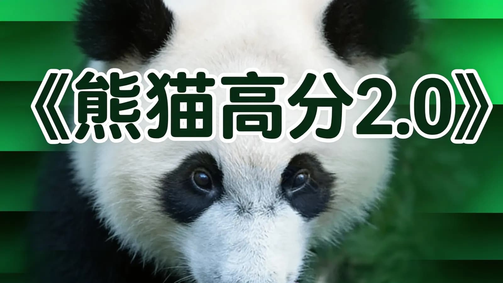 网络整理《熊猫高分2.0》