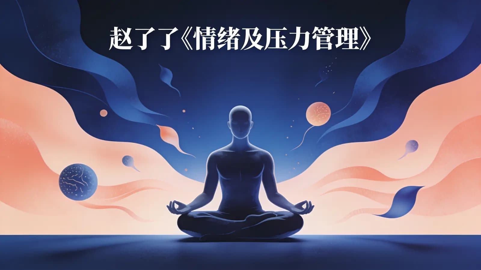 网络整理赵了了《情绪及压力管理》