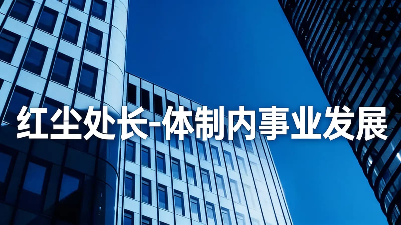 红尘处长-体制内事业发展