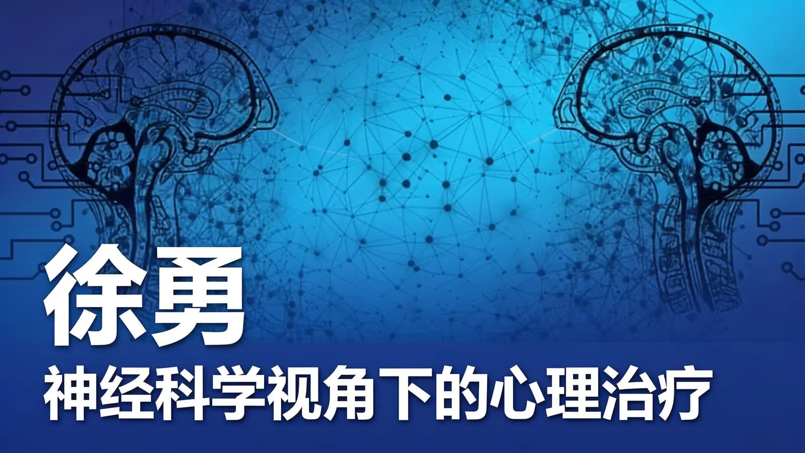 网络整理徐勇:神经科学视角下的心理治疗