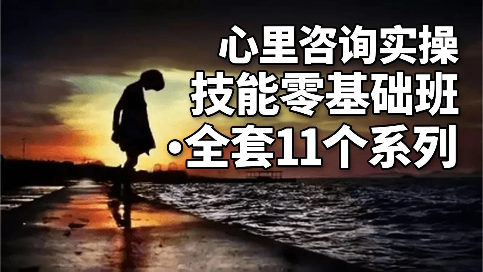 心里咨询实操技能零基础班•全套11个系列