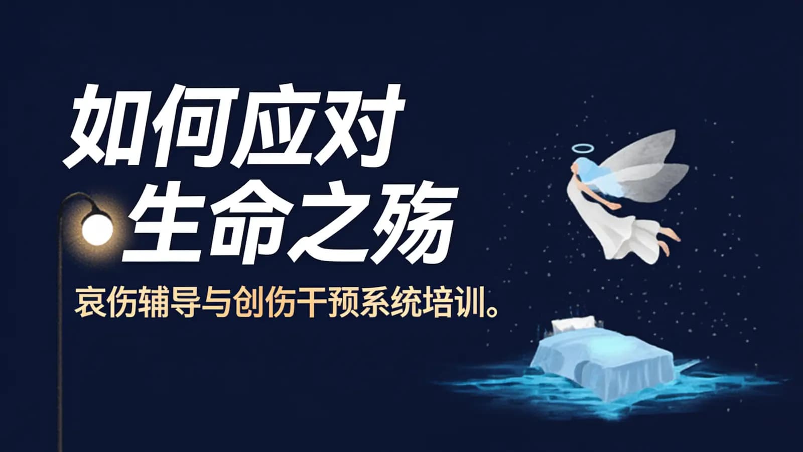 网络整理如何应对生命之殇:哀伤辅导与创伤干预系统培训。