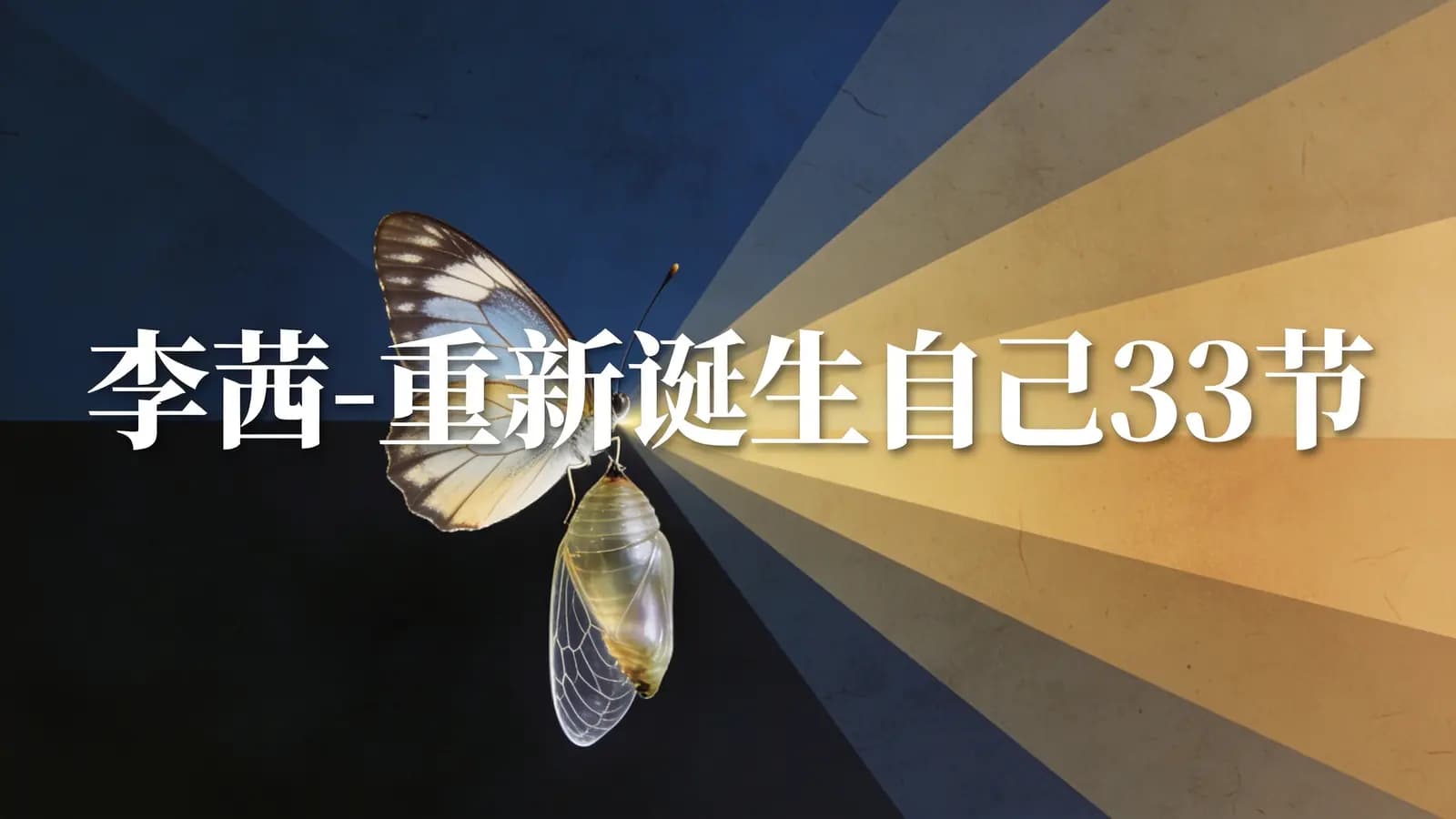 网络整理李茜-重新诞生自己33节