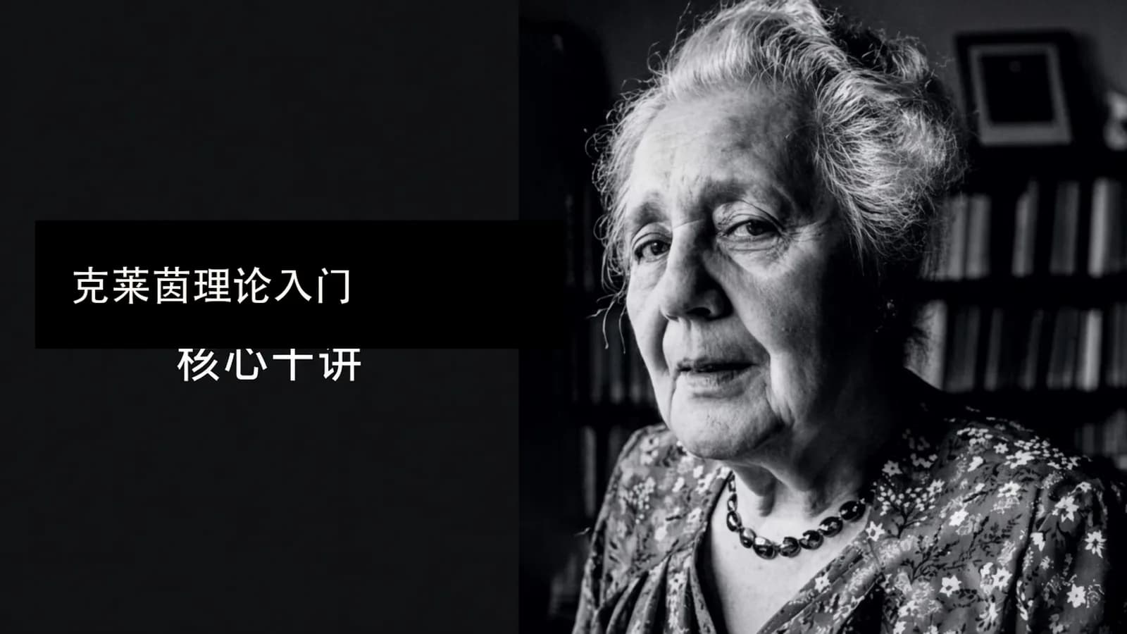 克莱茵理论入门——核心十讲