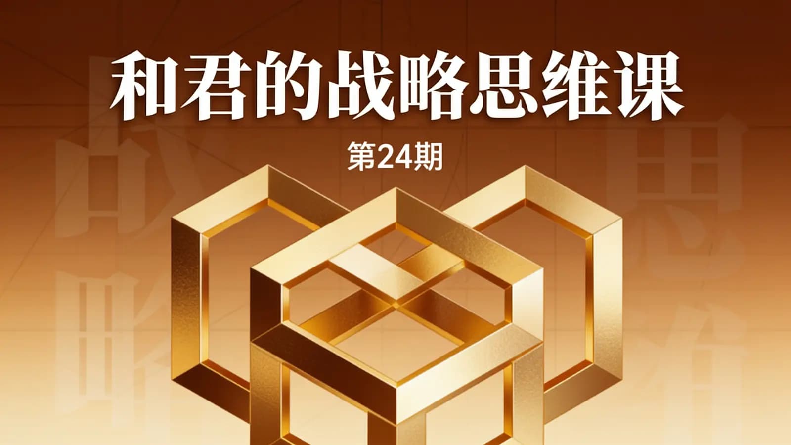 网络整理和君的战略思维课(第24期)