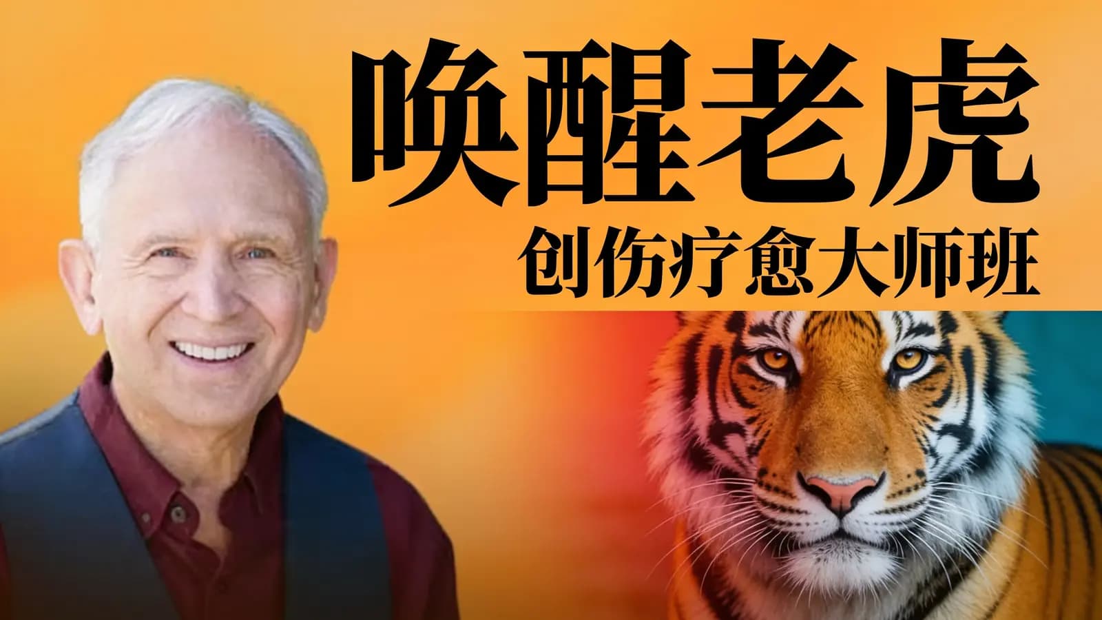 网络整理唤醒老虎:创伤疗愈大师班