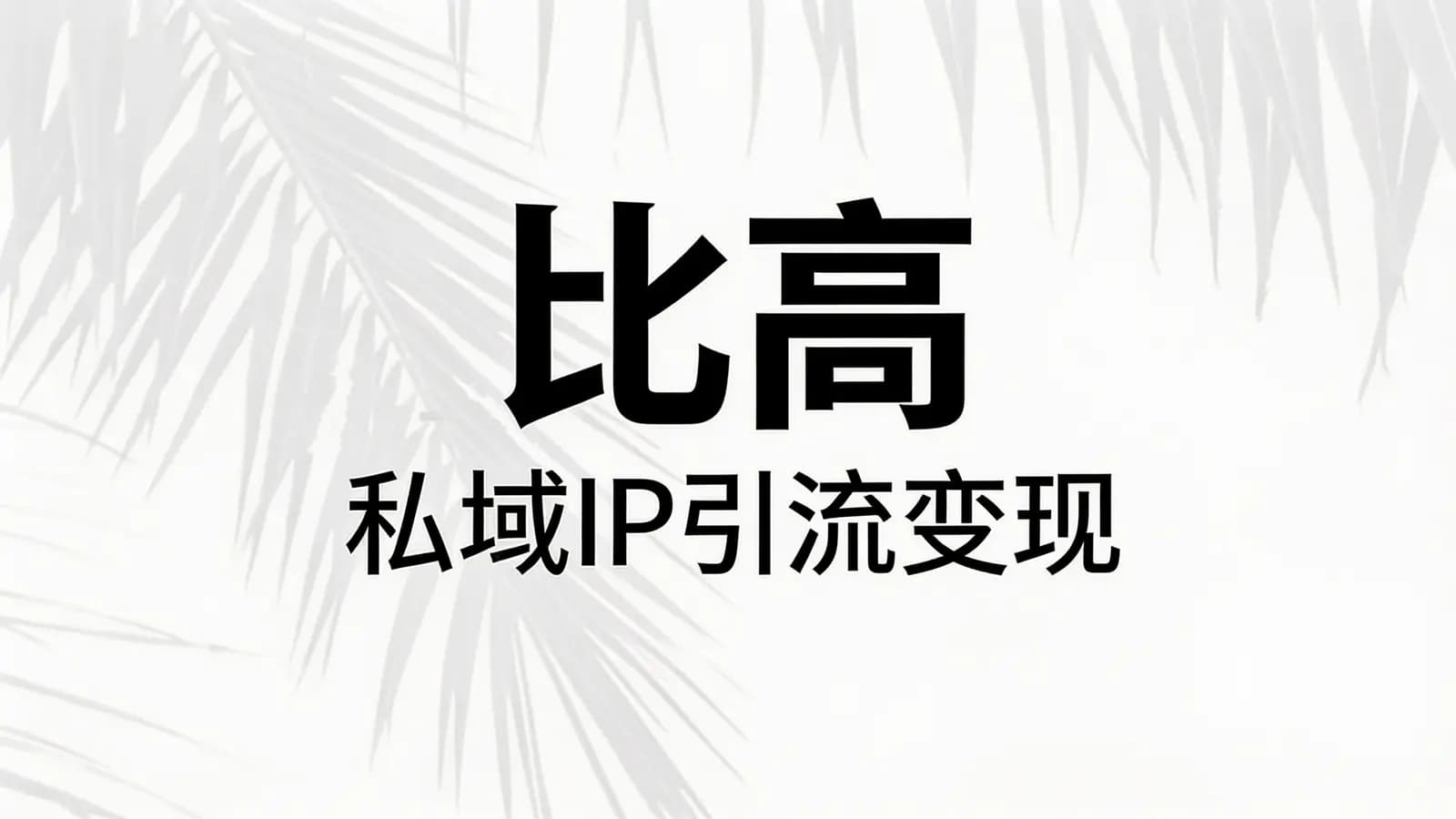 比高·私域IP引流变现