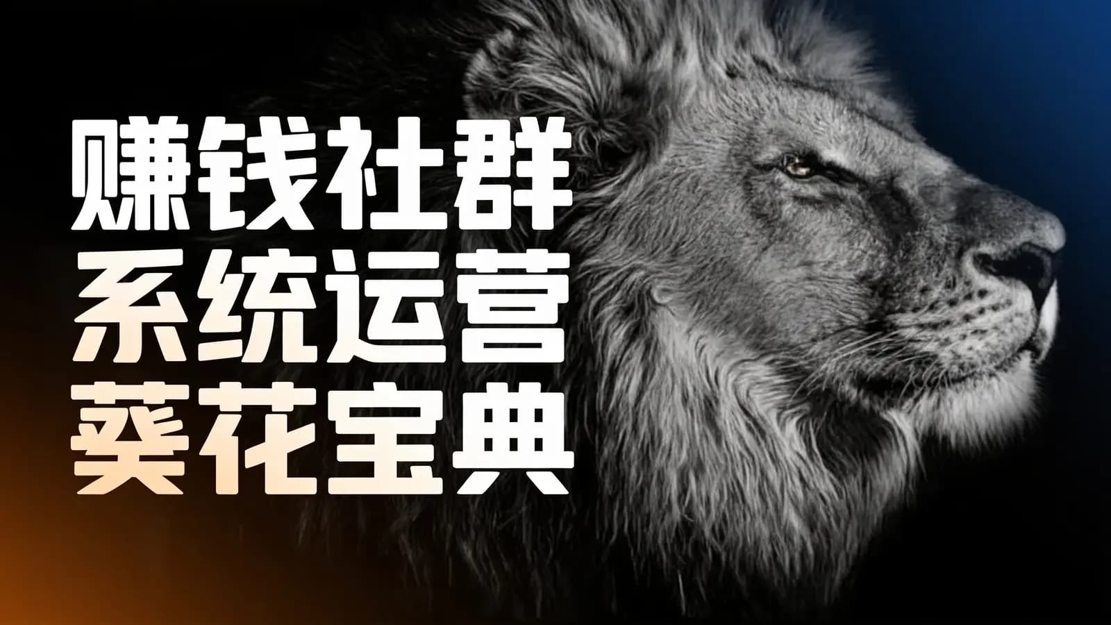 网络整理赚钱社群系统运营葵花宝典