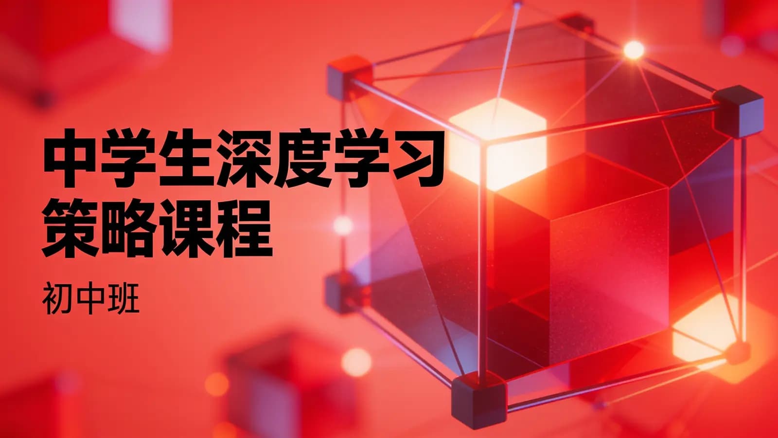 中学生深度学习策略课程(初中班)