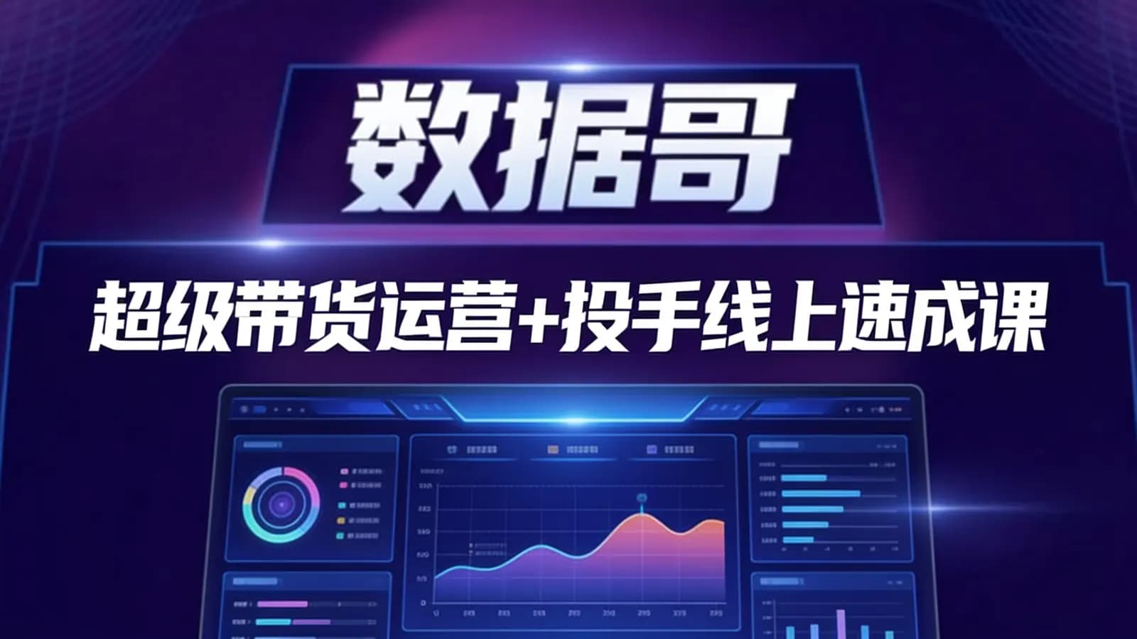 数据哥·超级带货运营+投手线上速成课