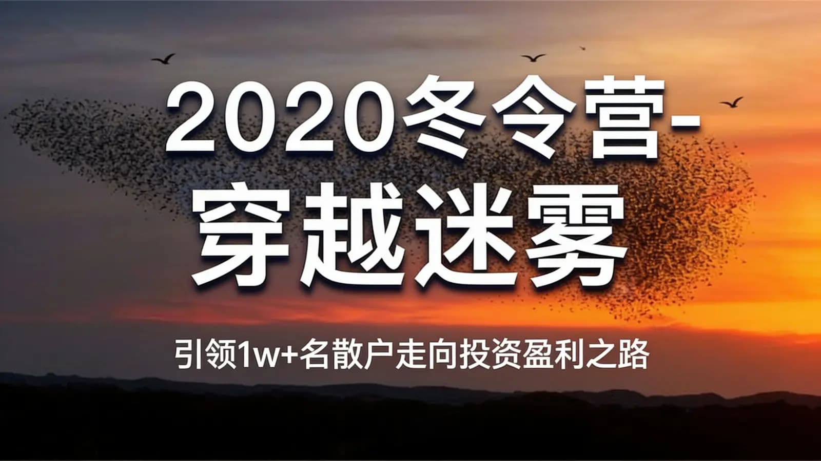2020冬令营-穿越迷雾·引领1w+名散户走向投资盈利之路