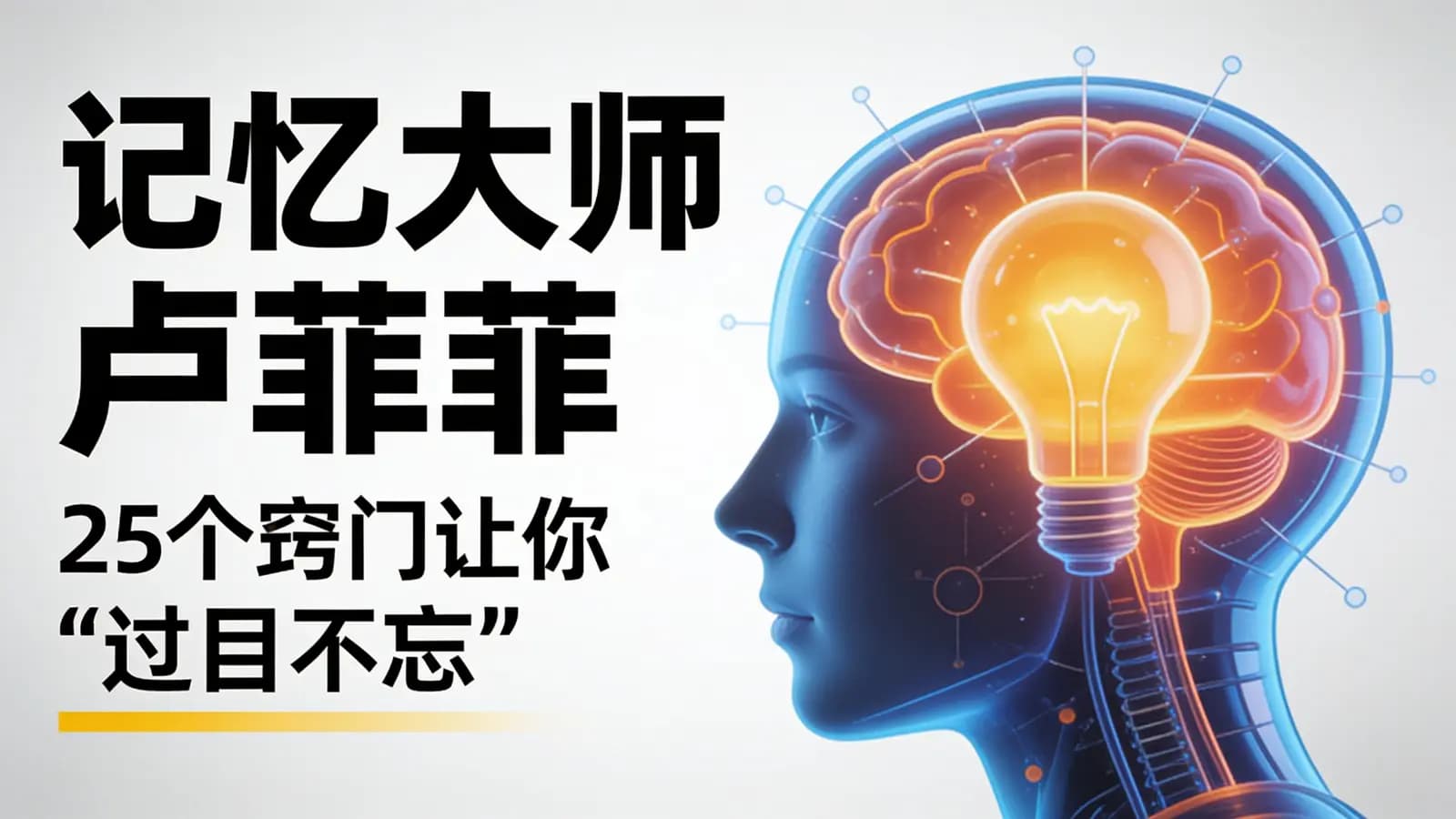 网络整理记忆大师卢菲菲:25个窍门让你“过目不忘”