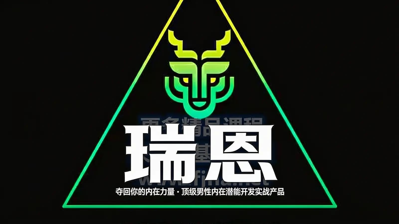网络整理瑞恩:夺回你的内在力量·顶级男性内在潜能开发实战产品