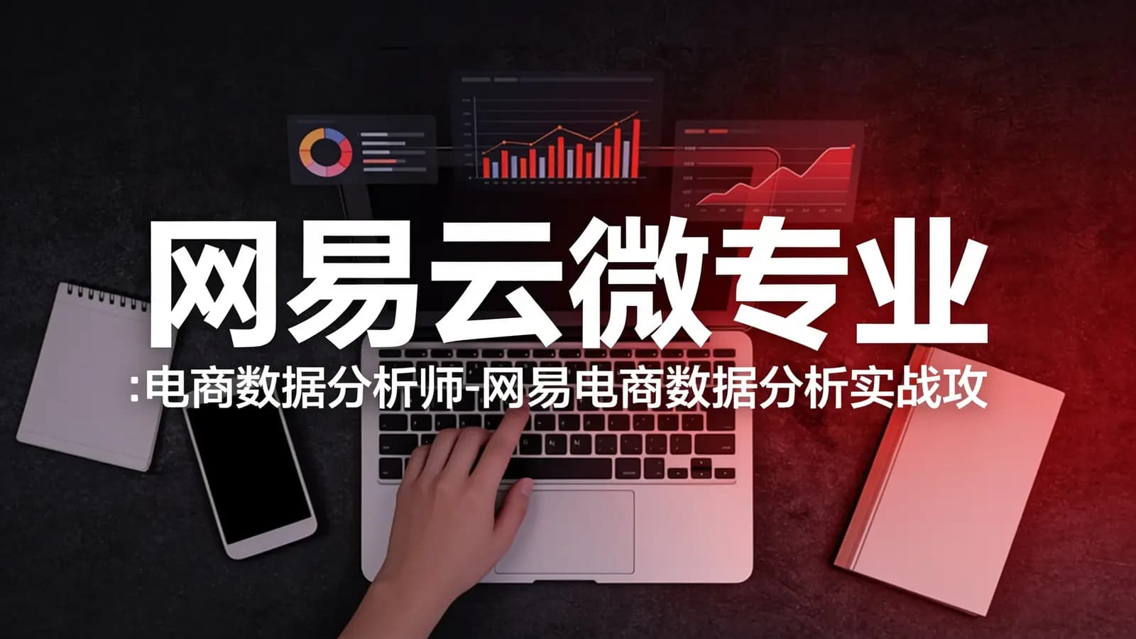 网易云微专业:电商数据分析师-网易电商数据分析实战攻略_