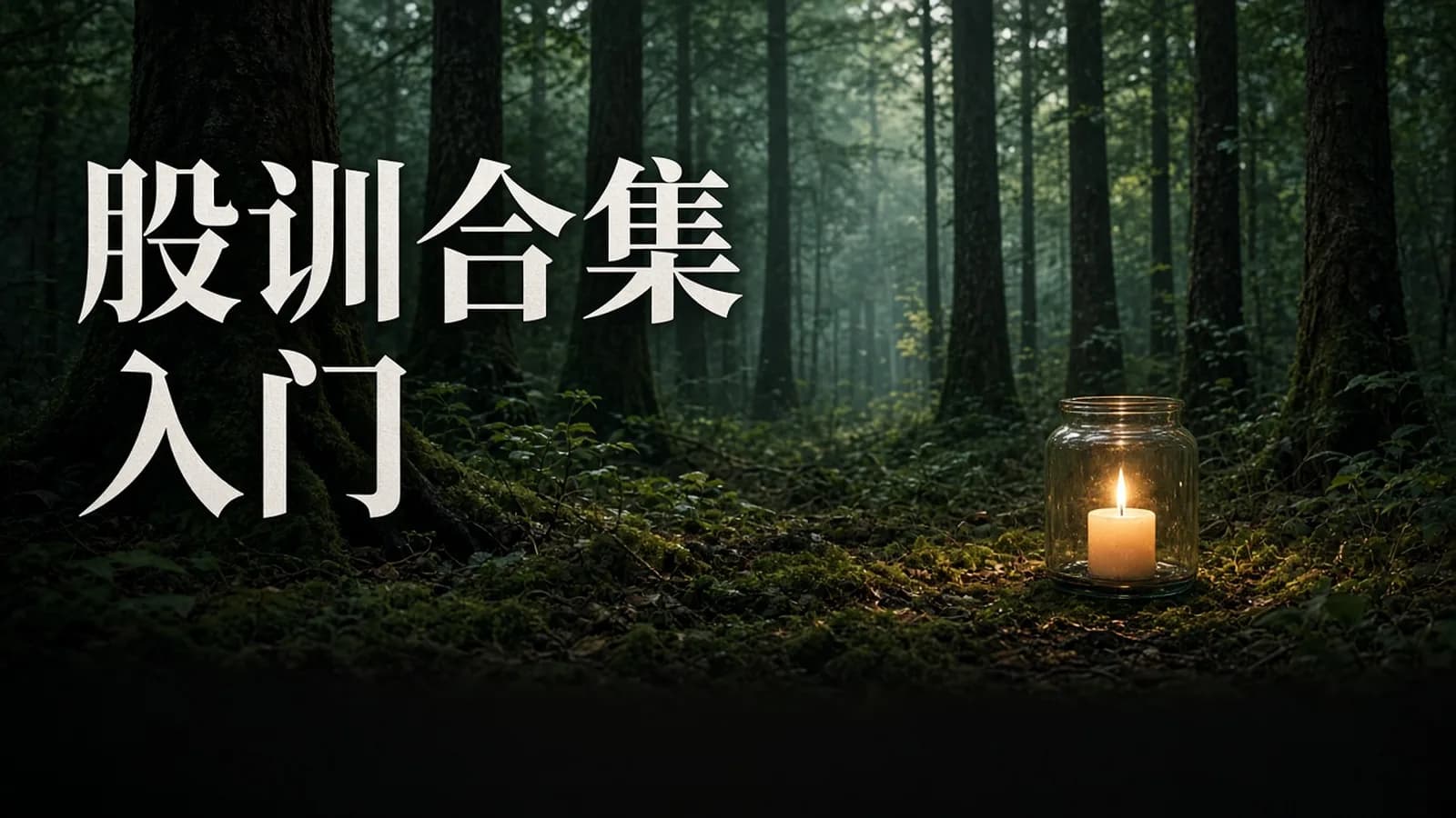 长投学堂炒股教程:股票训练营合集(入门+初级+进阶+高级)