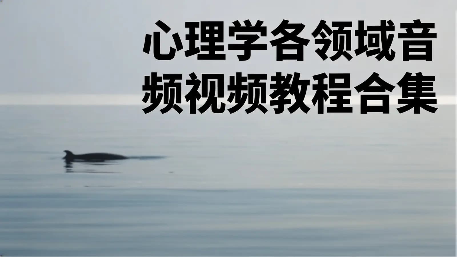 网络整理心理学各领域音频视频教程合集