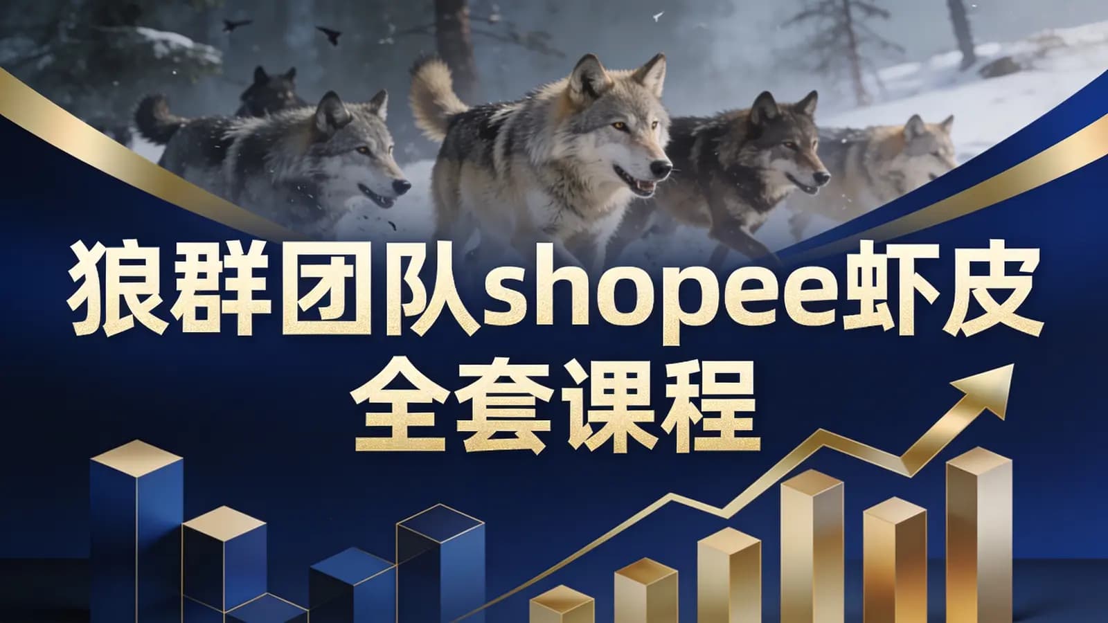 网络整理狼群团队shopee虾皮全套课程