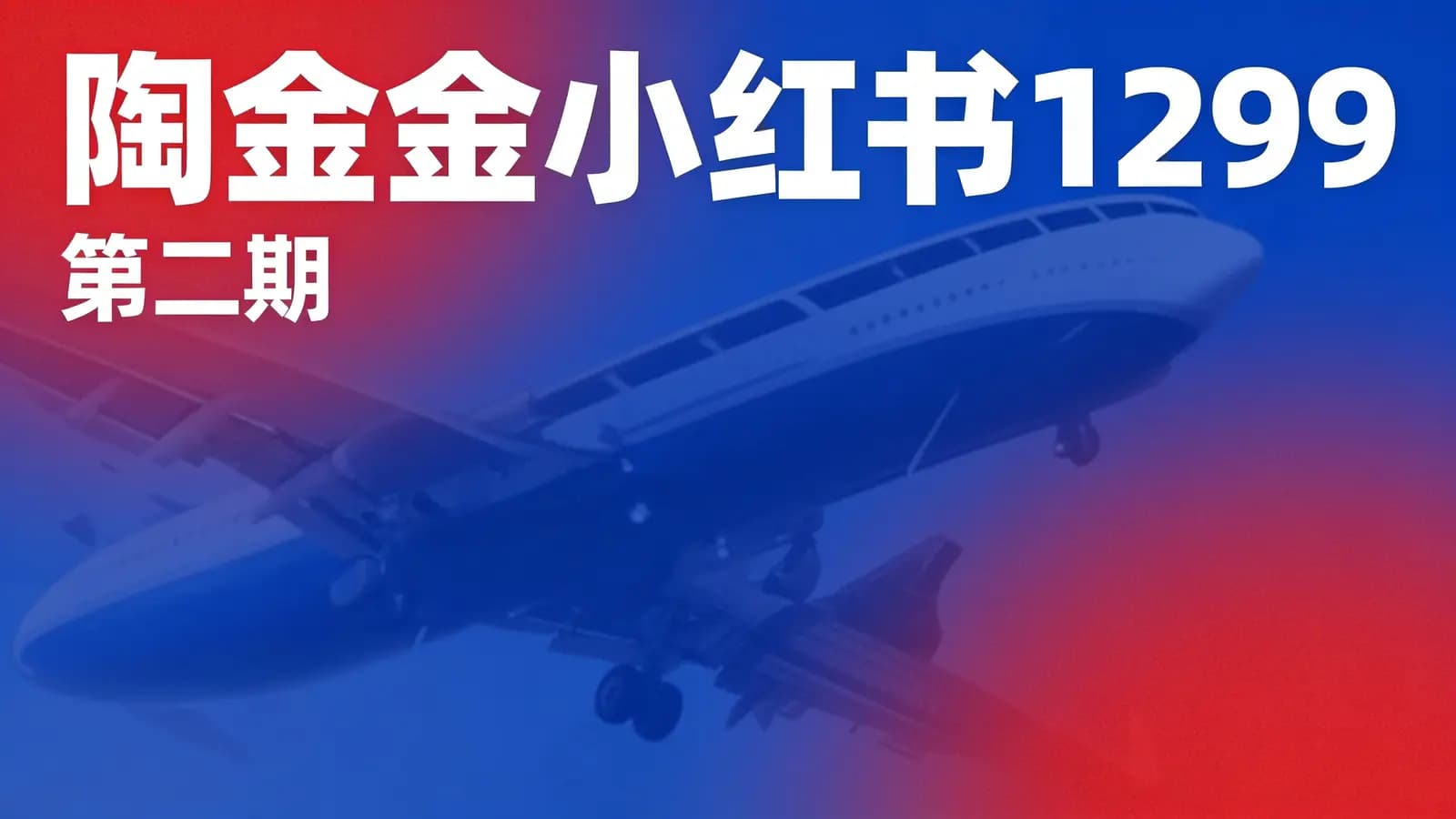 陶金金小红书1299(第二期)