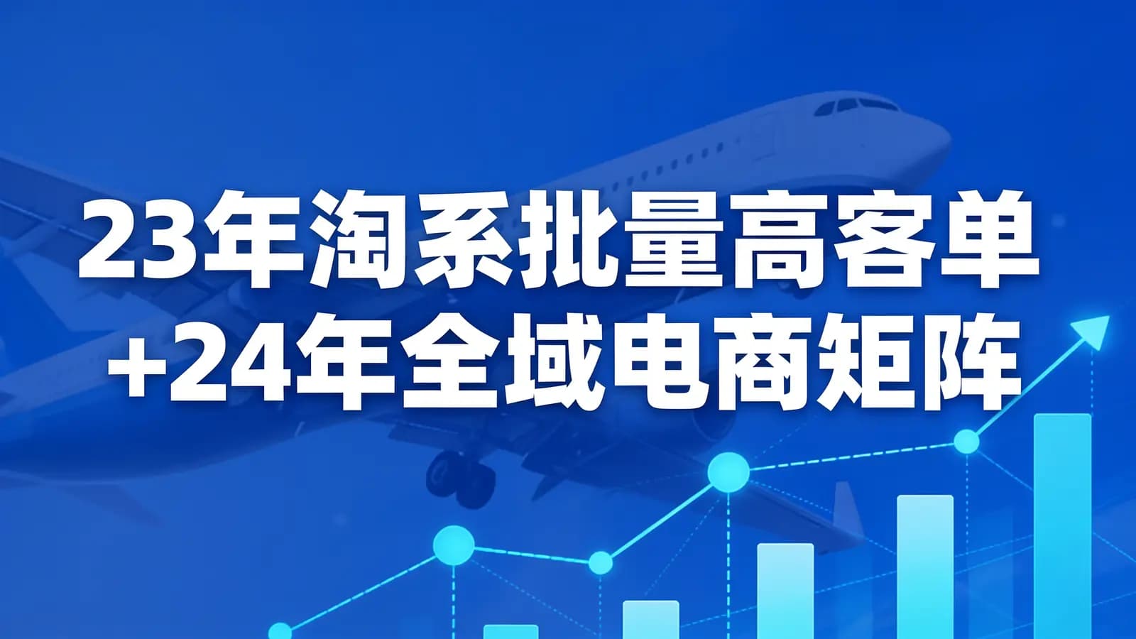 23年淘系批量高客单+24年全域电商矩阵