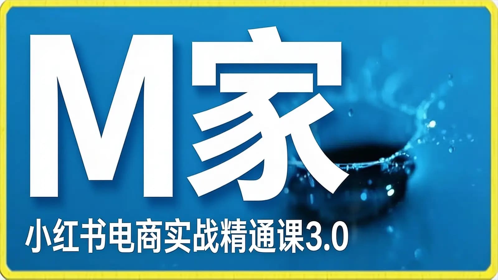 网络整理M家—小红书电商实战精通课3.0