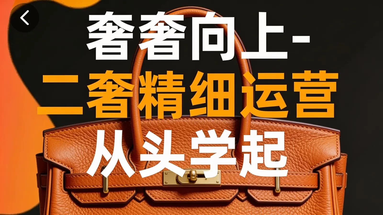 网络整理奢奢向上-二奢精细运营 从头学起