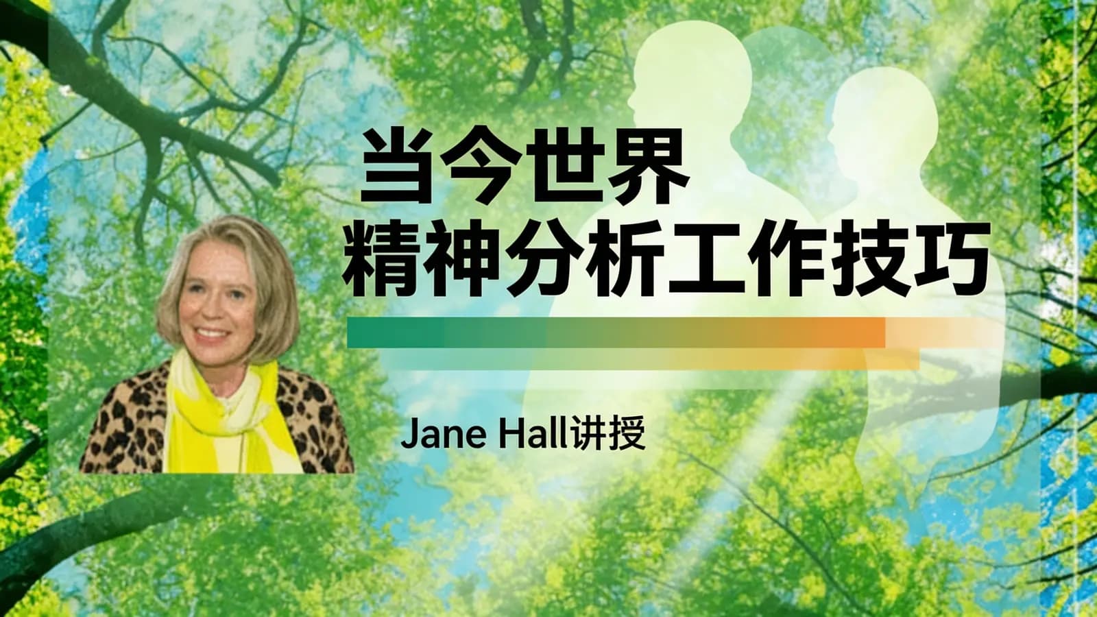 网络整理当今世界精神分析工作技巧——Jane Hall讲授