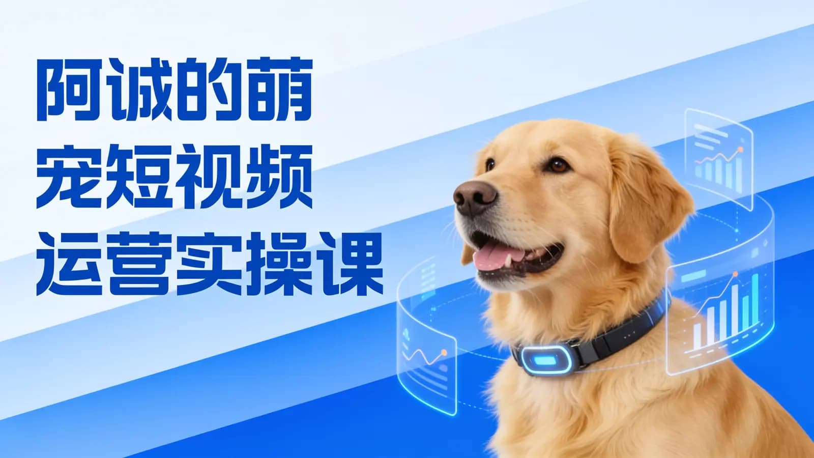 网络整理阿诚的萌宠短视频运营实操课