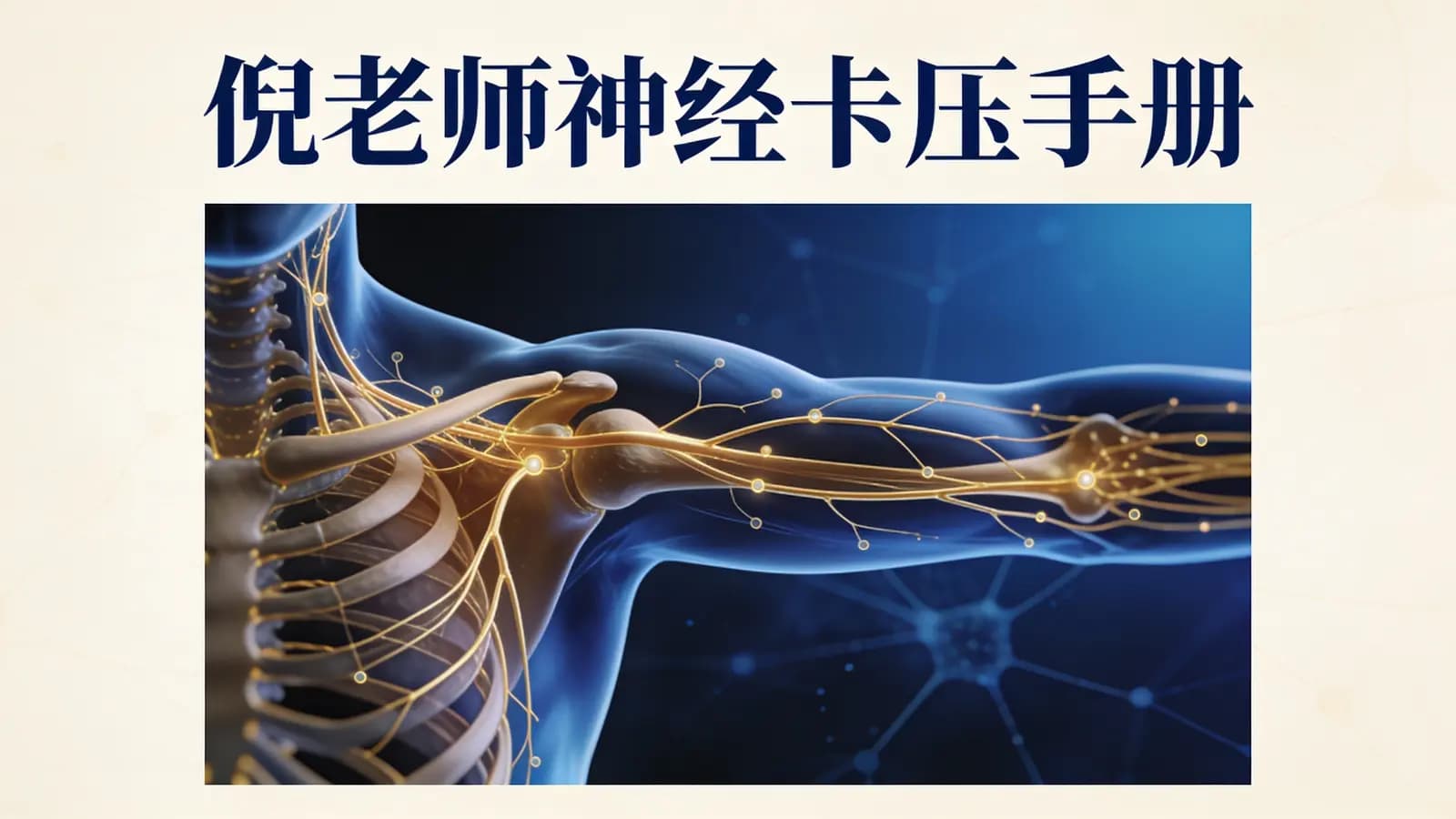 网络整理倪老师神经卡压手册