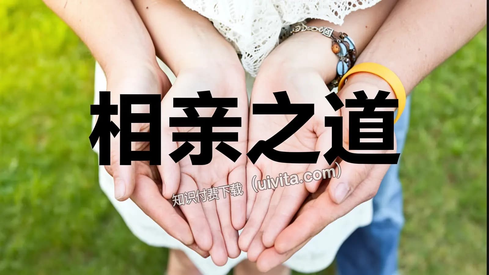 相亲之道