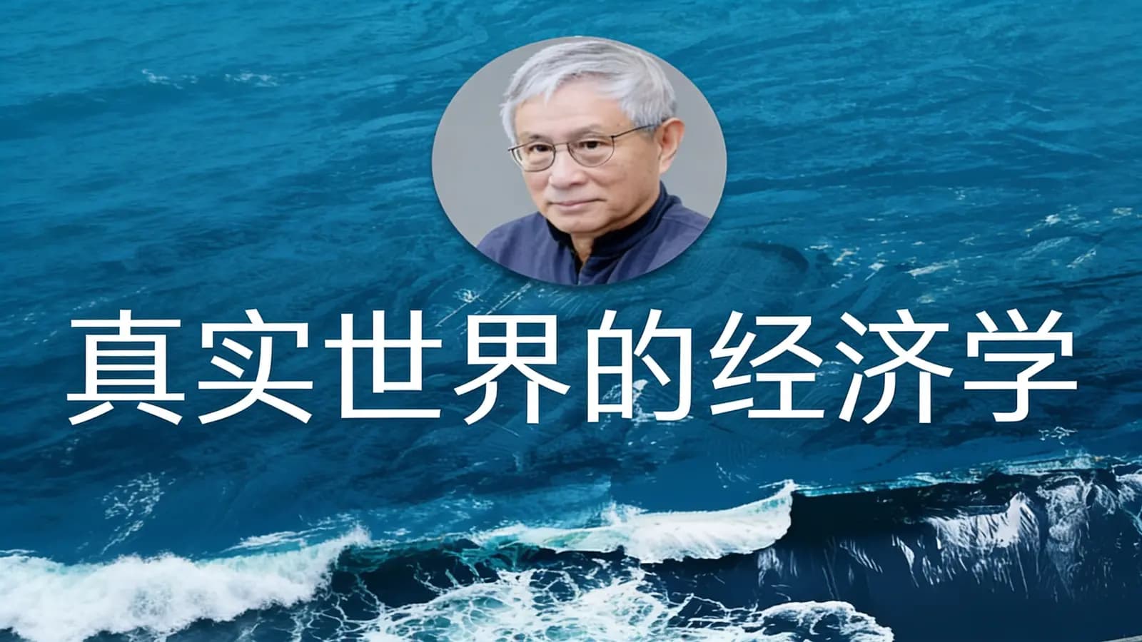 得到真实世界的经济学(.pdf.epub.txt.mobi)