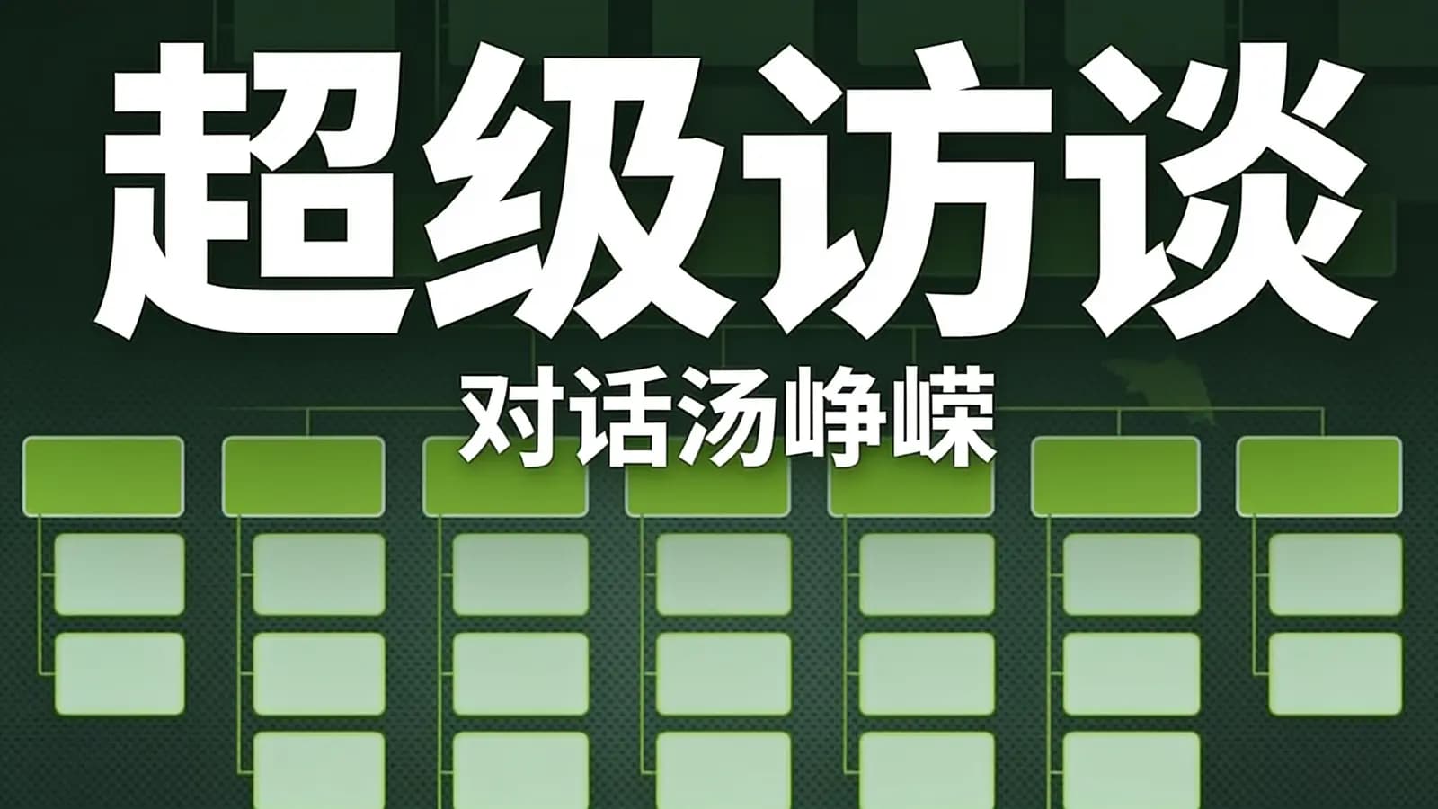 极客时间超级访谈：对话汤峥嵘