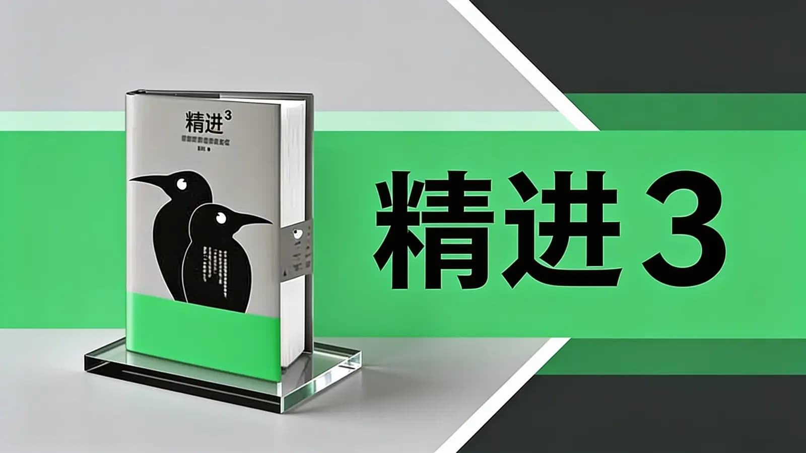 得到精进3(.pdf.epub.txt.mobi)