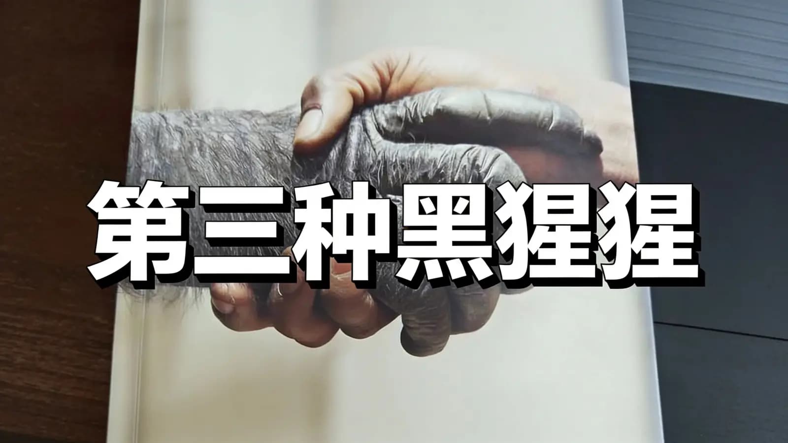 得到第三种黑猩猩(.pdf.epub.txt.mobi)