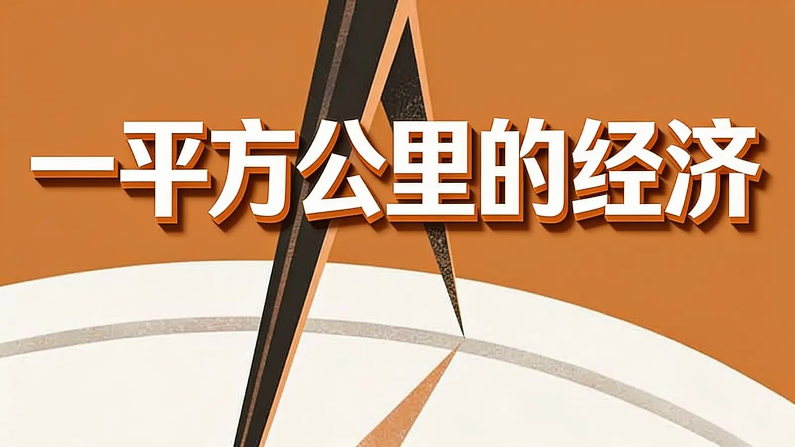 看理想一平方公里的经济