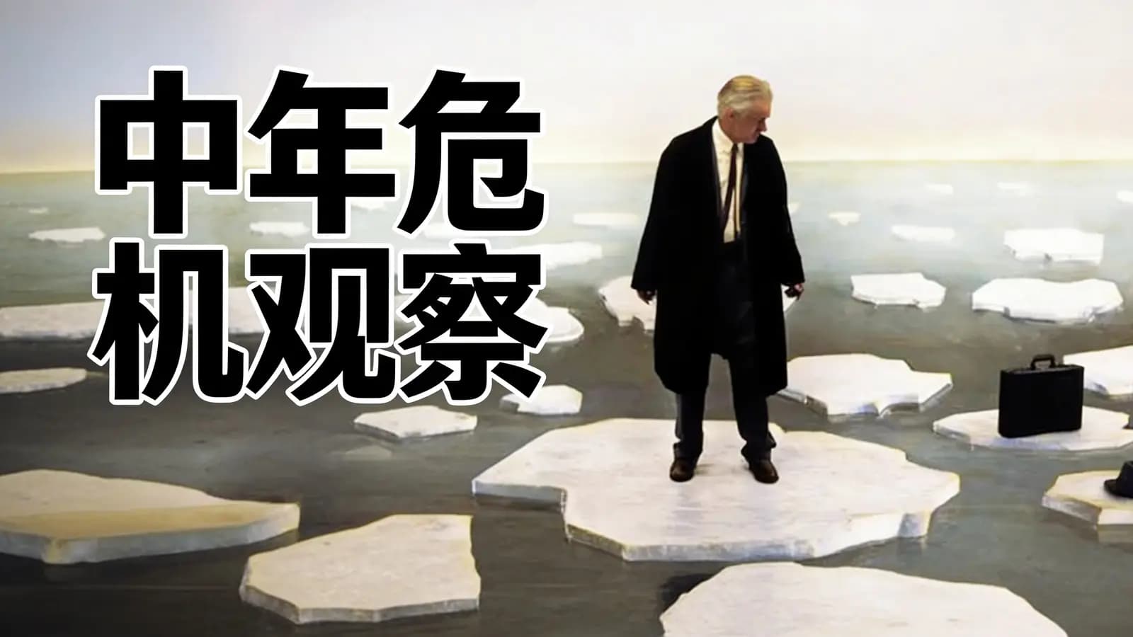 中年危机观察(.pdf.epub.txt.mobi)