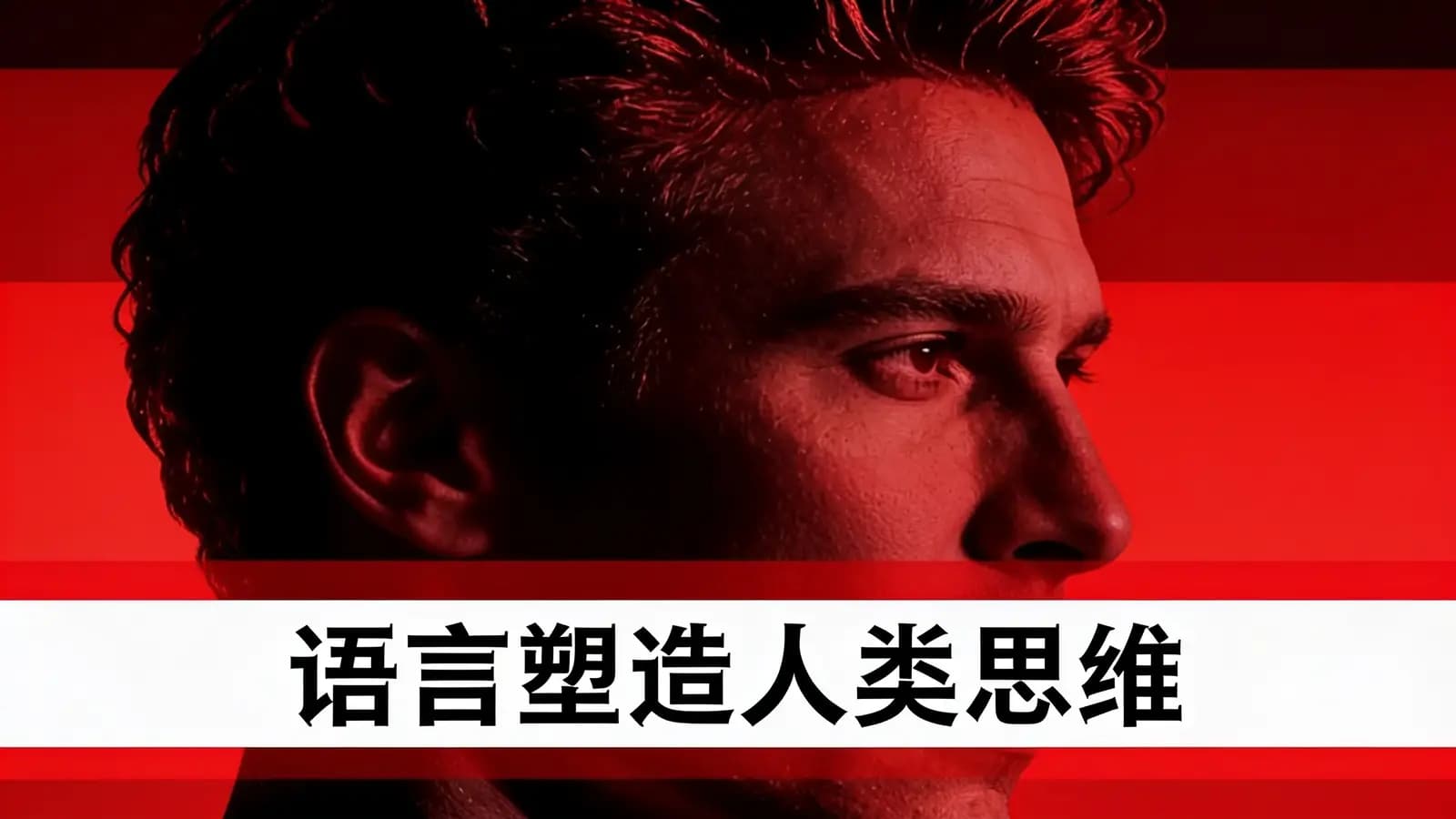 语言塑造人类思维(.pdf.epub.txt.mobi)