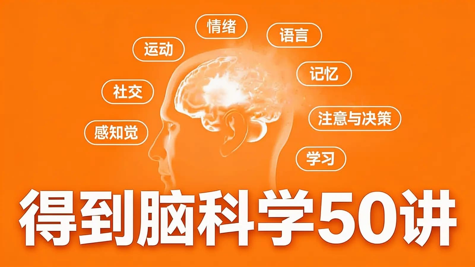 得到得到脑科学50讲