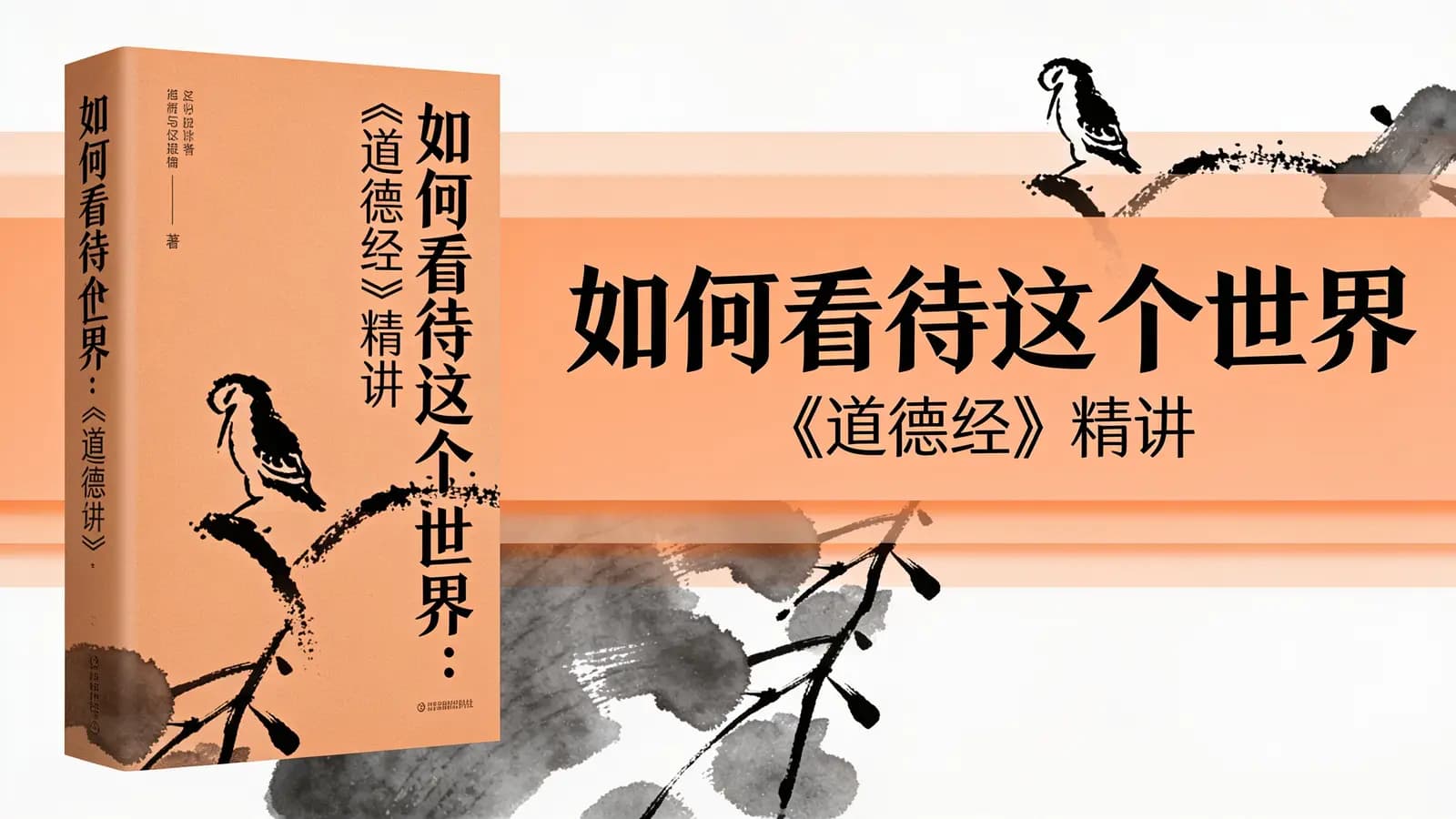 如何看待这个世界：《道德经》精讲(.pdf.epub.txt.mobi)