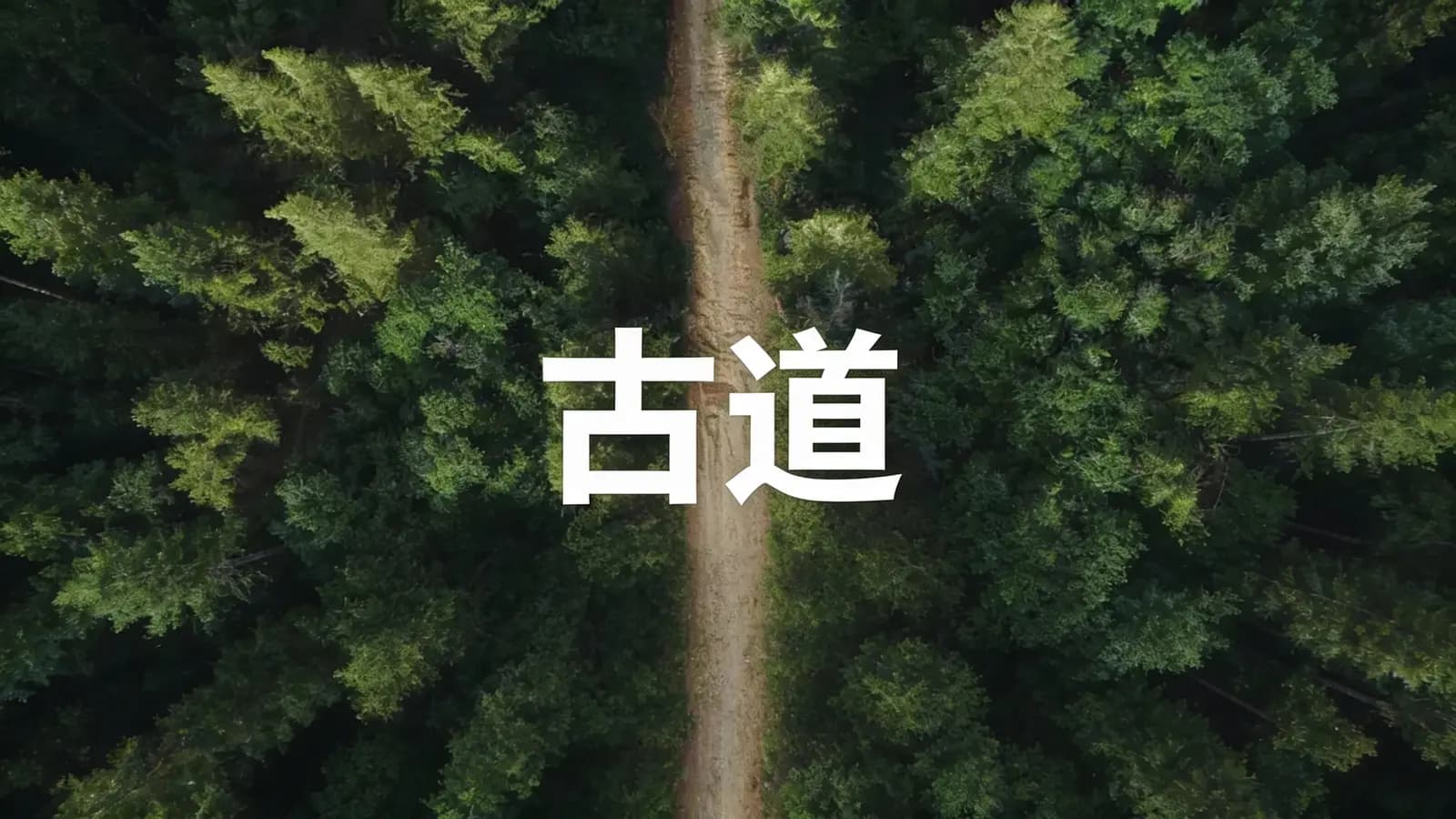 得到古道(.pdf.epub.txt.mobi)