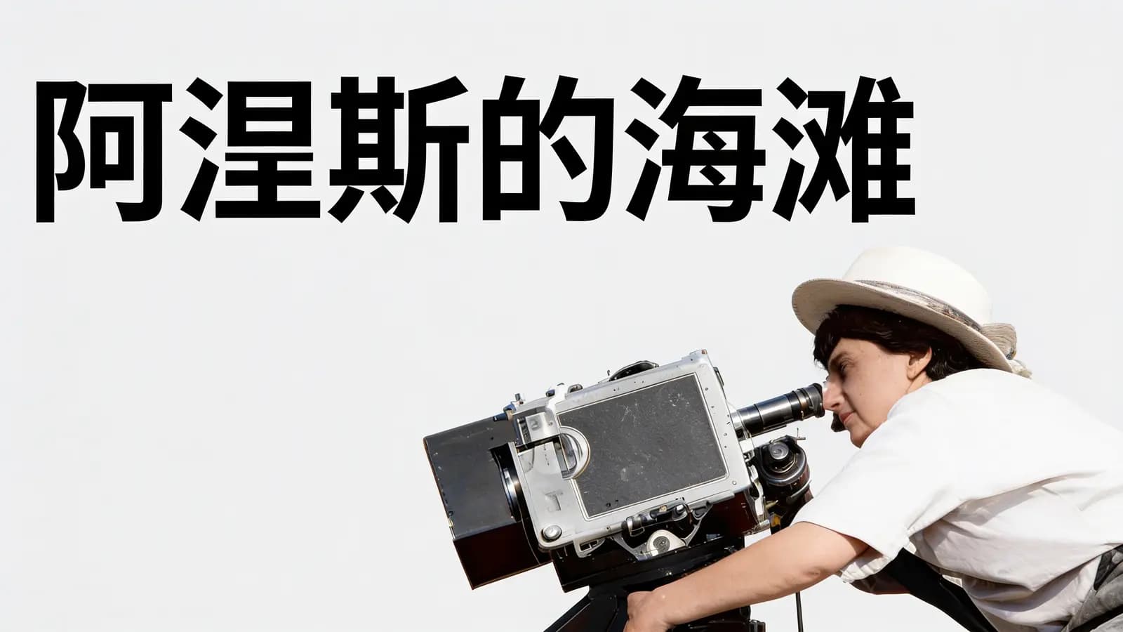 阿涅斯的海滩(.pdf.epub.txt.mobi)