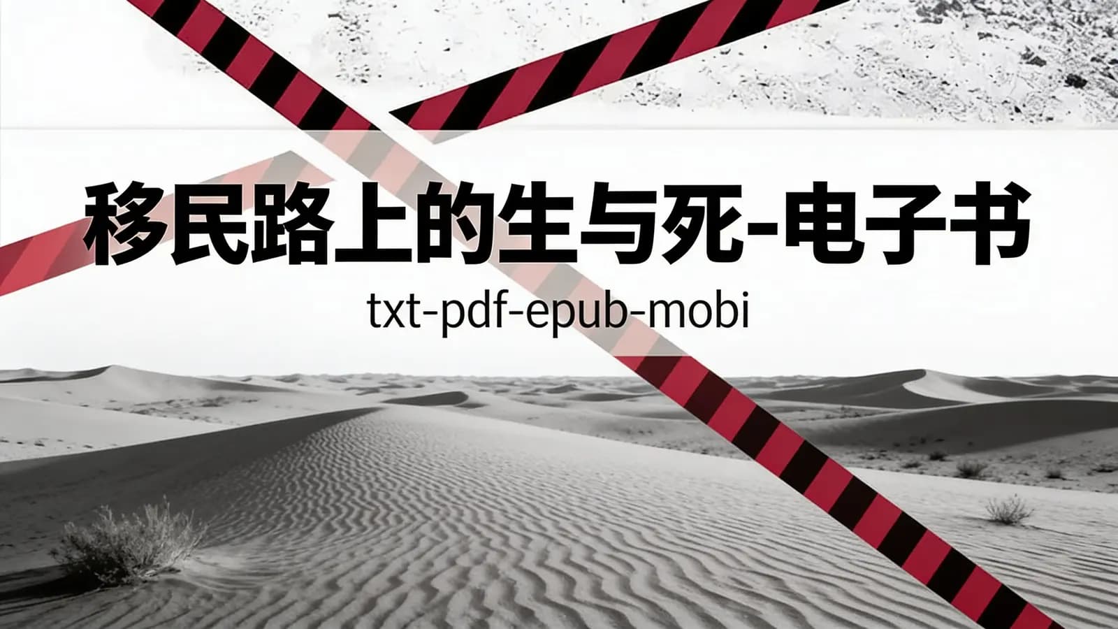 移民路上的生与死-电子书(txt-pdf-epub-mobi)