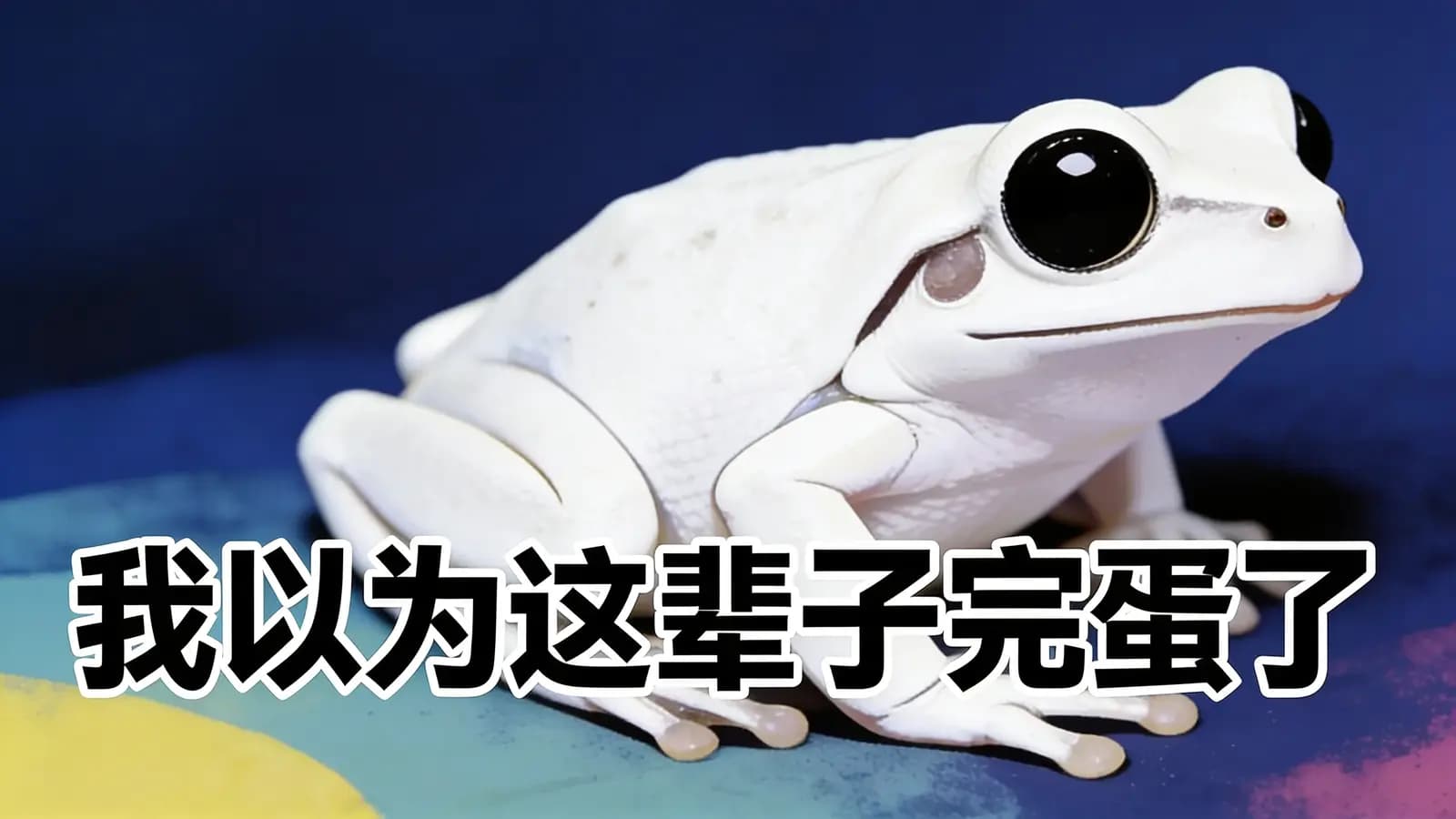 得到我以为这辈子完蛋了(.pdf.epub.txt.mobi)