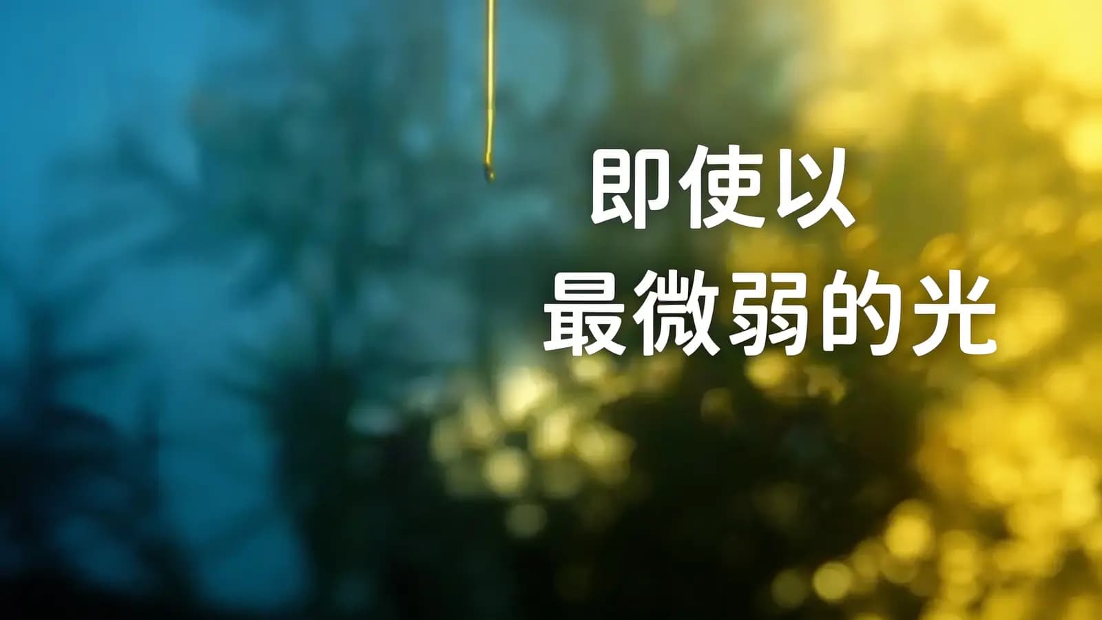 得到即使以最微弱的光(.pdf.epub.txt.mobi)