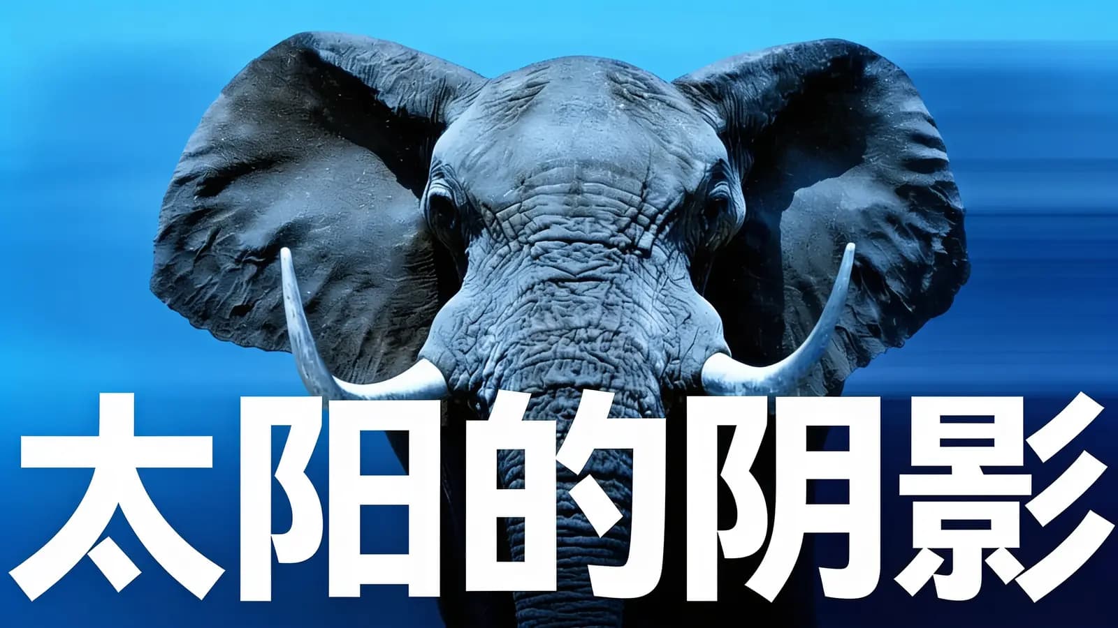 太阳的阴影(.pdf.epub.txt.mobi)