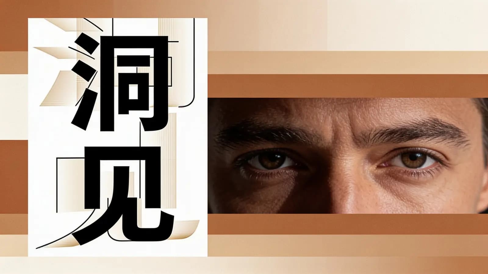 得到洞见