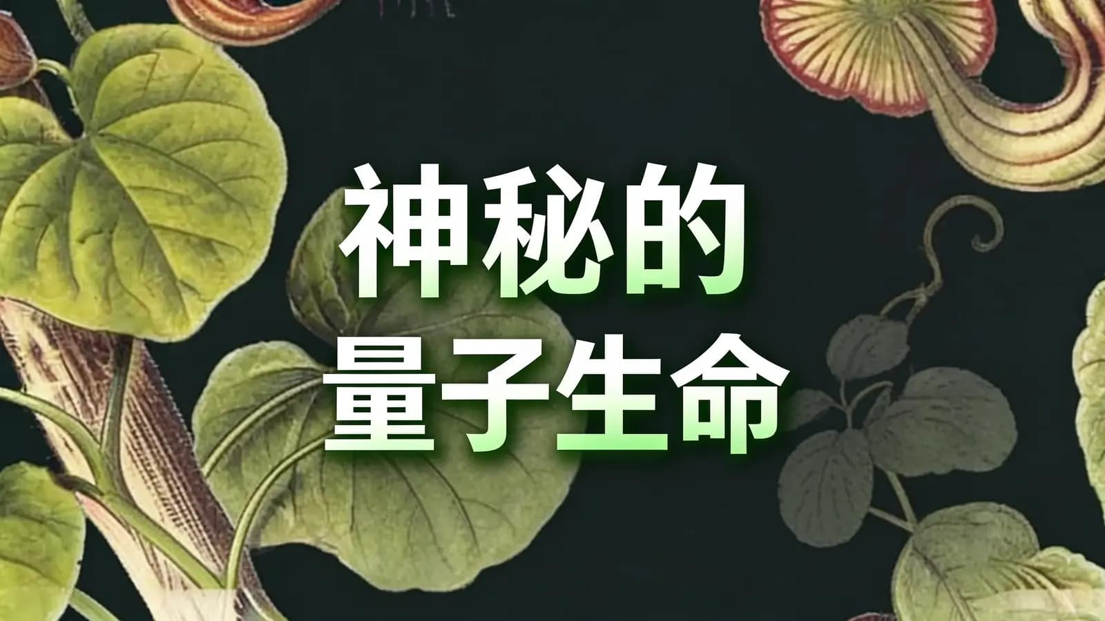 得到神秘的量子生命(.pdf.epub.txt.mobi)