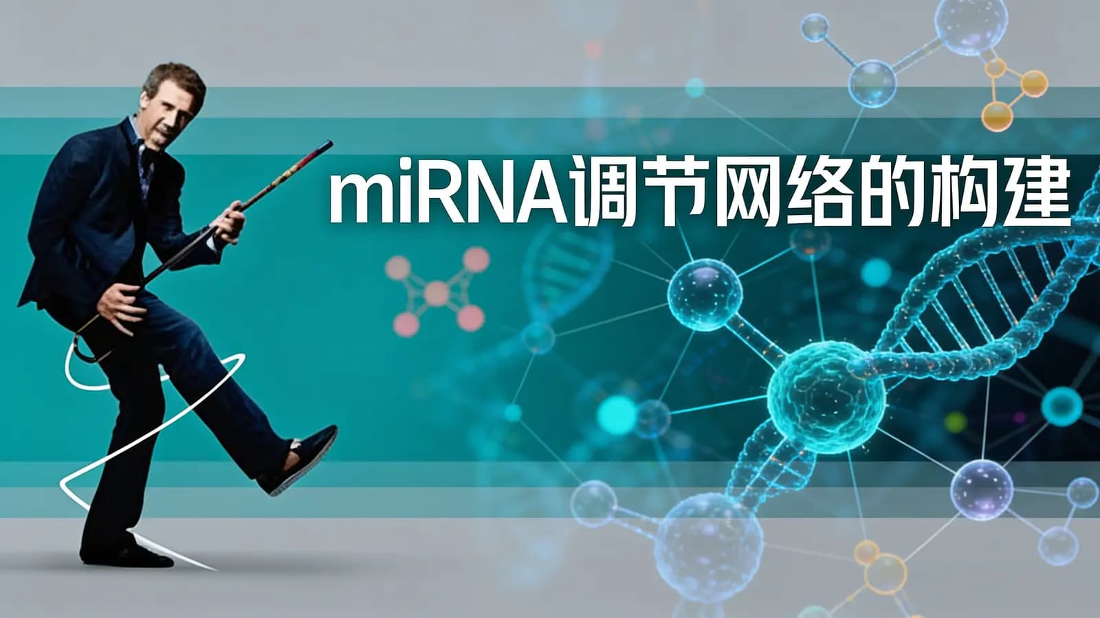 网易云课堂miRNA调节网络的构建